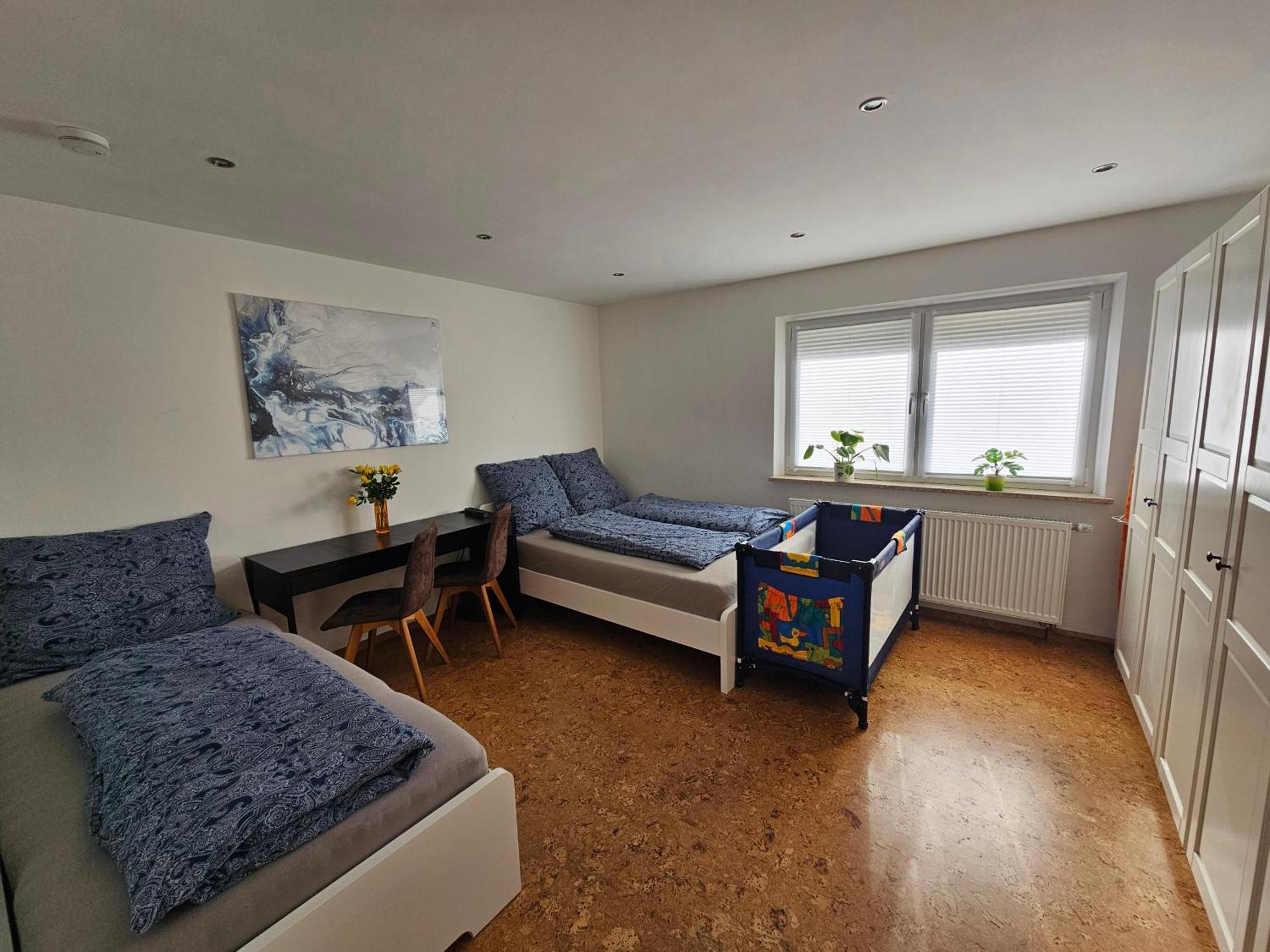 Apartment Rk79 Ferienwohnung: Garden Retreat With Pool Near Klinikum And Transit Fuerth